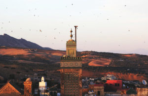 Königsstädte Marokko - Fes