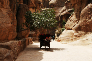 Auf dem Weg zur Felsenstadt Petra