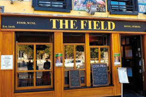 The field pub in kilkenny
