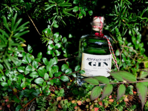Koppler Moor Gin - Gin aus Österreich