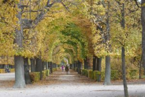 Die schönsten Gärten der Welt - Schönbrunn in Wien