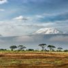 Kenia Urlaub Highlights