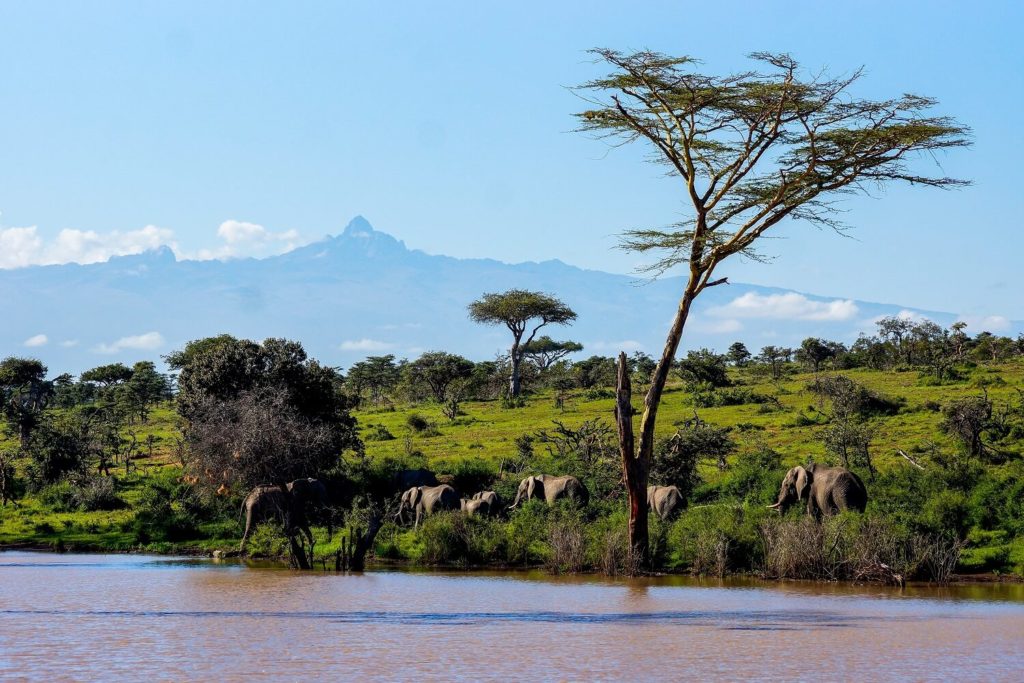 Kenia Urlaub Mount Kenia