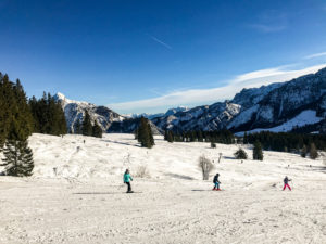 Salzkammergut Skigebiete: Postalm
