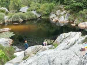 Garden Route Südafrika: Wilderness am Kingfisher Trail