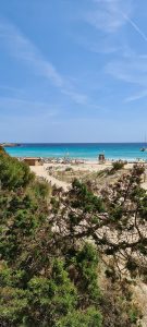 Erwachsenenhotel Mallorca Urlaub zu zweit