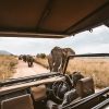 Reiseimpfungen Ostafrika Safari